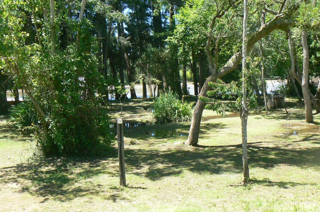 Posada Barlovento Tigre Room photo