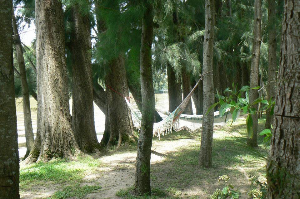 Posada Barlovento Tigre Room photo